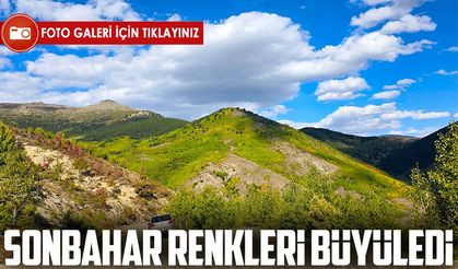 Gümüşhane’de sonbahar renkleri doğayı büyüleyici bir tabloya dönüştürdü