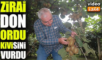 Zirai don Ordu kivisini vurdu: Rekolte 8 bin tondan 4 bine düştü