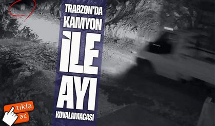 Trabzon’da mahalleliyi canından bezdiren ayı, evin önünde yakalandı: Vatandaş kamyonetiyle kovaladı