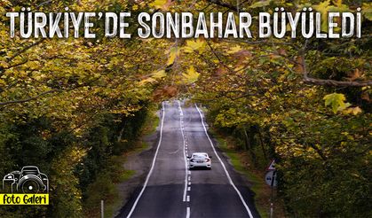 Karabük ormanlarında sonbahar renkleri: Sarı, kahverengi ve yeşil buluştu