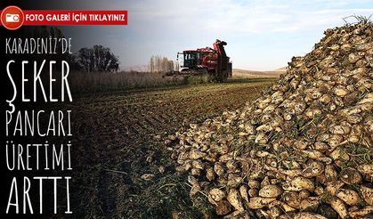 Bayburt’ta modern tarımın meyvesi: 2025’te 135 bin ton şeker pancarı hedefleniyor