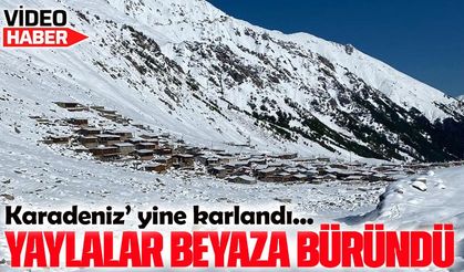 Kaçkarlar’da Kar Yağışı Etkili Oldu: Anzer ve Kavrun Yaylaları Beyaz Örtüyle Kaplandı