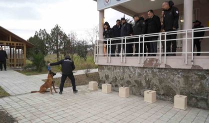 OMÜ'de yetiştirilen görev köpeği 'Pars', Samsun Emniyeti'ne teslim edildi