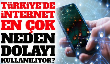 Türkiye’de internet en çok neden dolayı kullanılıyor?
