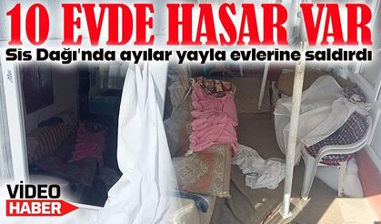 Giresun-Trabzon sınırındaki Sis Dağı’nda ayıların yayla evlerine saldırısı; 10 Evde Hasar Var