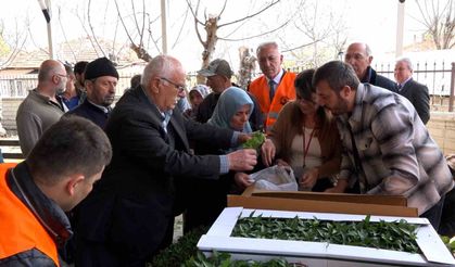 Atakumlu çiftçiye 100 bin sebze fidesi