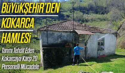 Trabzon’da Kokarca Mücadelesine Büyükşehir’den Destek