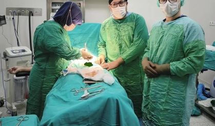 Bayburt'ta iki hastanın mesanesinden 27 taş çıkarıldı