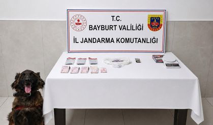 İstanbul'dan Bayburt'a yasaklı madde getiren 3 şüpheli yakalandı