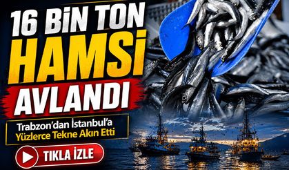 Karadeniz’de Hamsi Bereketi: Kırklareli Açıklarında 16 Bin Ton Avlandı