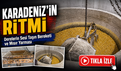 Derelerin Sesi Taşın Bereketi ve Mısır Yarması: Karadeniz’in ritmi