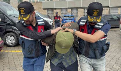 DEAŞ operasyonu: 1 gözaltı