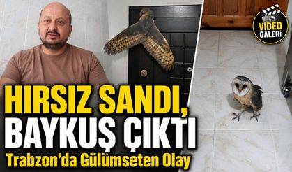Hırsız Sandı, Karşısına Baykuş Çıktı: Trabzonlu Arıcının Gece Yaşadığı İlginç Anlar