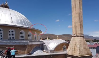 Bayburt'ta yuvasına dönemeyen yavru leylek ekipleri harekete geçirdi