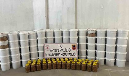 Köşk'te 3 milyon liralık sahte gıda operasyonu: '4 ton salça ve 300 kilo zeytin ele geçirildi'
