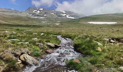Ordu'nun yaylalarında yaz güzelliği