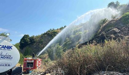 Samsun'da otluk alan yangını: 10 dönüm alan zarar gördü