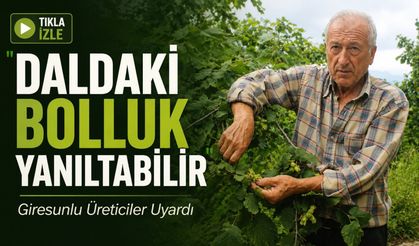 Giresunlu Üreticiler Uyardı: "Fındıkta Daldaki Bolluk Yanıltabilir"