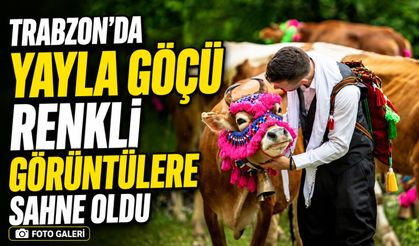 Trabzon’da Yayla Yolları Horonla Şenlendi: Büyükbaş Hayvanlarla Göç Başladı