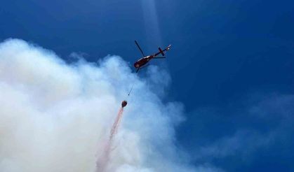 Alanya'da orman yangını