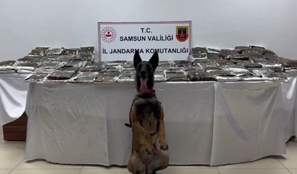 Tıra gizlenmiş 132 kilo toz esrar ele geçirildi