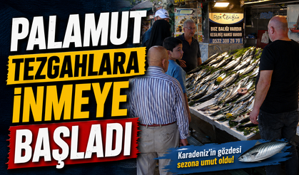 Balıkçılardan palamut için umutlandıran sözler: “O sene bu sene olacak”