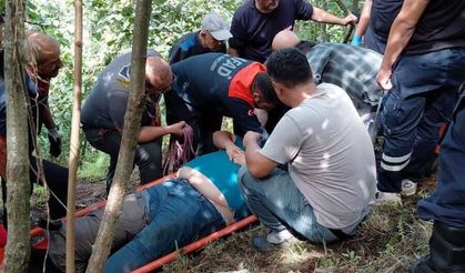 Hamzalı Köyü’nde fındık toplarken dengesini kaybeden kişi yaralandı