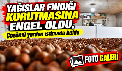 Karadenizli Üretici Yağışlar fındığı kurutmasına engel oldu, çözümü yerden ısıtmada buldu