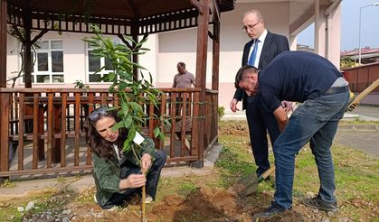 Giresun'da Cumhuriyet İçin Fidan Dikildi! Anlamlı Etkinlik