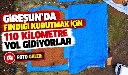 Fındık Üreticisinin Zorlu Mesaisi: Araçlarda ve Çadırlarda Kalıyorlar Hasat ettikleri ürünlerini sahil kesimindeki yükse