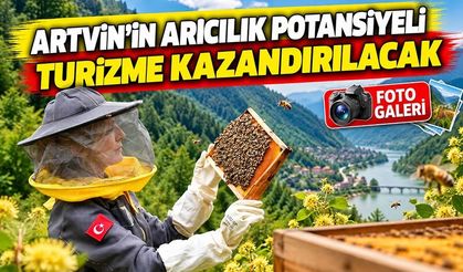 Artvin’in Arıcılık Potansiyeli Turizme Kazandırılacak: Yeni Rotalar Belirleniyor