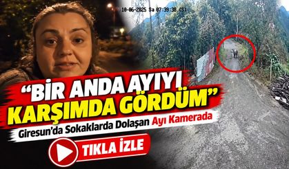 Giresun’da Sokaklarda Dolaşan Ayı Kamerada; “Bir Anda Ayıyı Karşımda Gördüm”