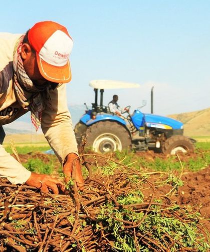 Tarımsal Destek Ödemeleri Çiftçilerin Hesabında: Başvuran alacak