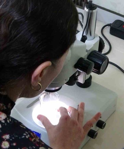 Kolorektal kanser tedavisi için yeni umut