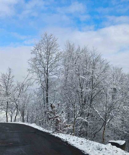 Ordu'nun yüksek kesimlerinde kar manzarası
