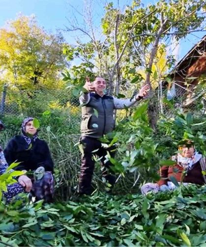 Orman köylüsü ekmeğini topraktan çıkartıyor