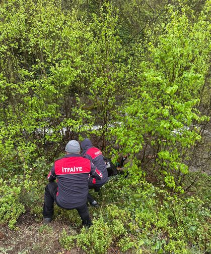 Artvin'de dereye devrilen otomobilin sürücüsü yaralandı