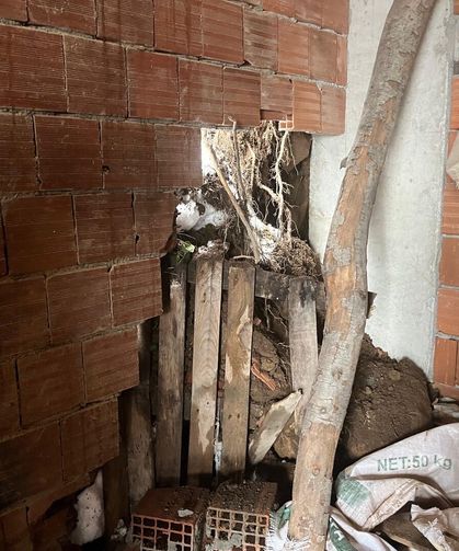 Çatalpınar'da ağılın çökmesi sonucu 4 küçükbaş hayvan telef oldu