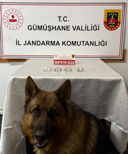 Gümüşhane'deki yasaklı madde operasyonunda 2 şüpheli yakalandı