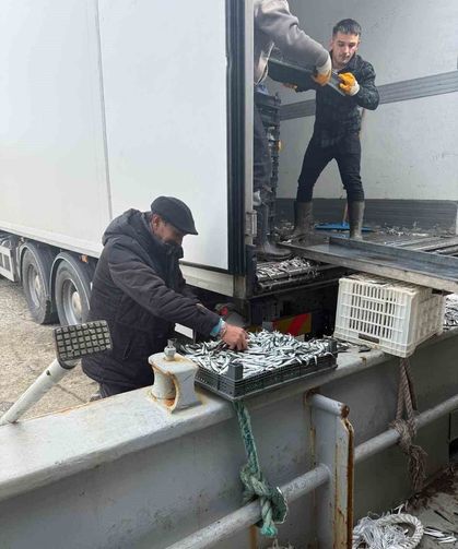 Balıkçı Ramazan'da ücretsiz hamsi dağıttı