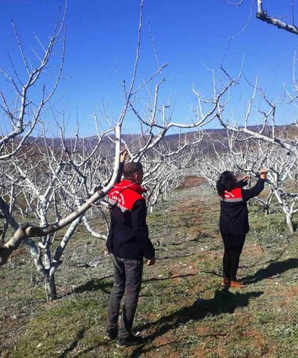 Çiftçilere bordo bulamacı uyarısı