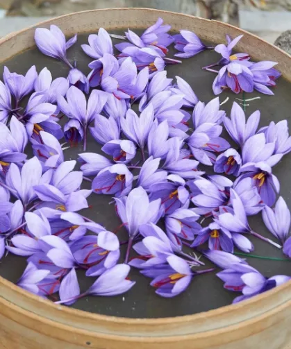 Dünyanın en pahalı gıdaları: Lüks sofraların sırları