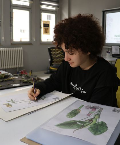 Ortaokul öğrencisi illüstrasyon tekniğiyle yayla bitkilerini dijital dünyaya taşıdı