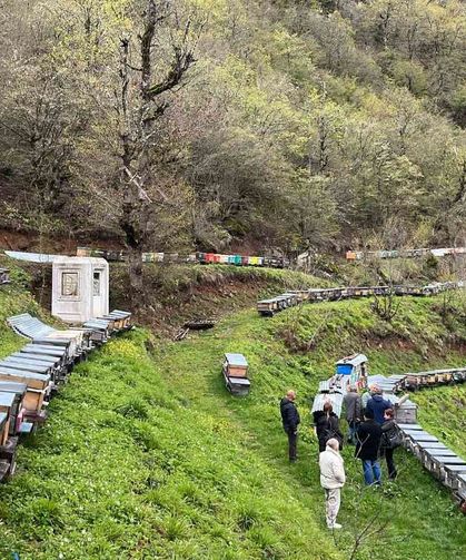 Artvin apiturizmde gelecek vadediyor