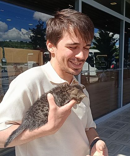 Trabzon'dan Ankara'ya uzanan yolculukra 3 gün bagajda mahsur kalan yavru kedi kurtarıldı