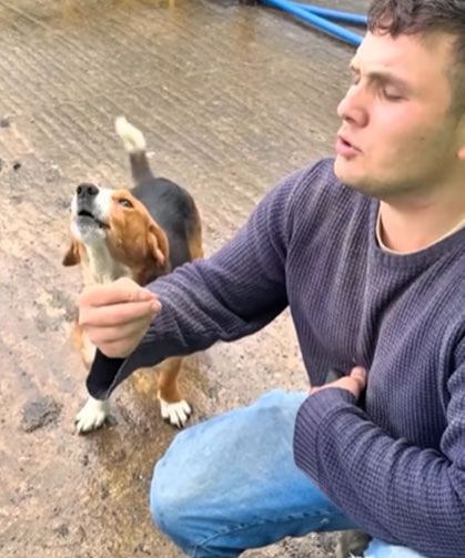 Giresunlu Fenomenin Köpeğine Verdiği Uluma Dersi Sosyal Medyayı Yıktı