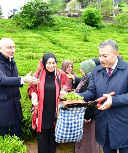 Of’ta 2026 Yaş Çay Sezonu Açıldı! Üreticilere Bereket Mesajı