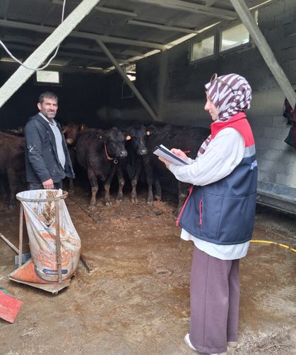Of’ta Kırsalda Bereket Projesiyle Üreticiye Büyükbaş Hayvan Desteği Sağlandı