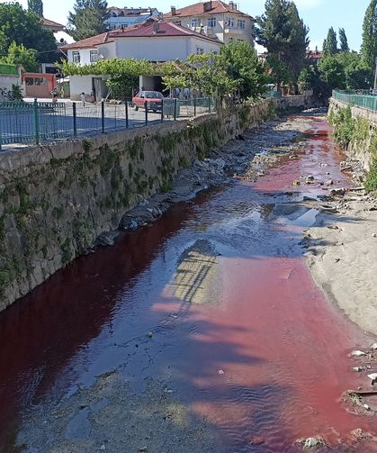 Dereyi zirai ilaç ile kirleten işletmeye suç duyurusu