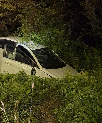 Hedeğe devrilen otomobildeki 2 kişi yaralandı